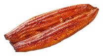 Угорь